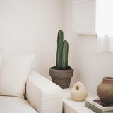 2.5FT Cactus Artificial Plant