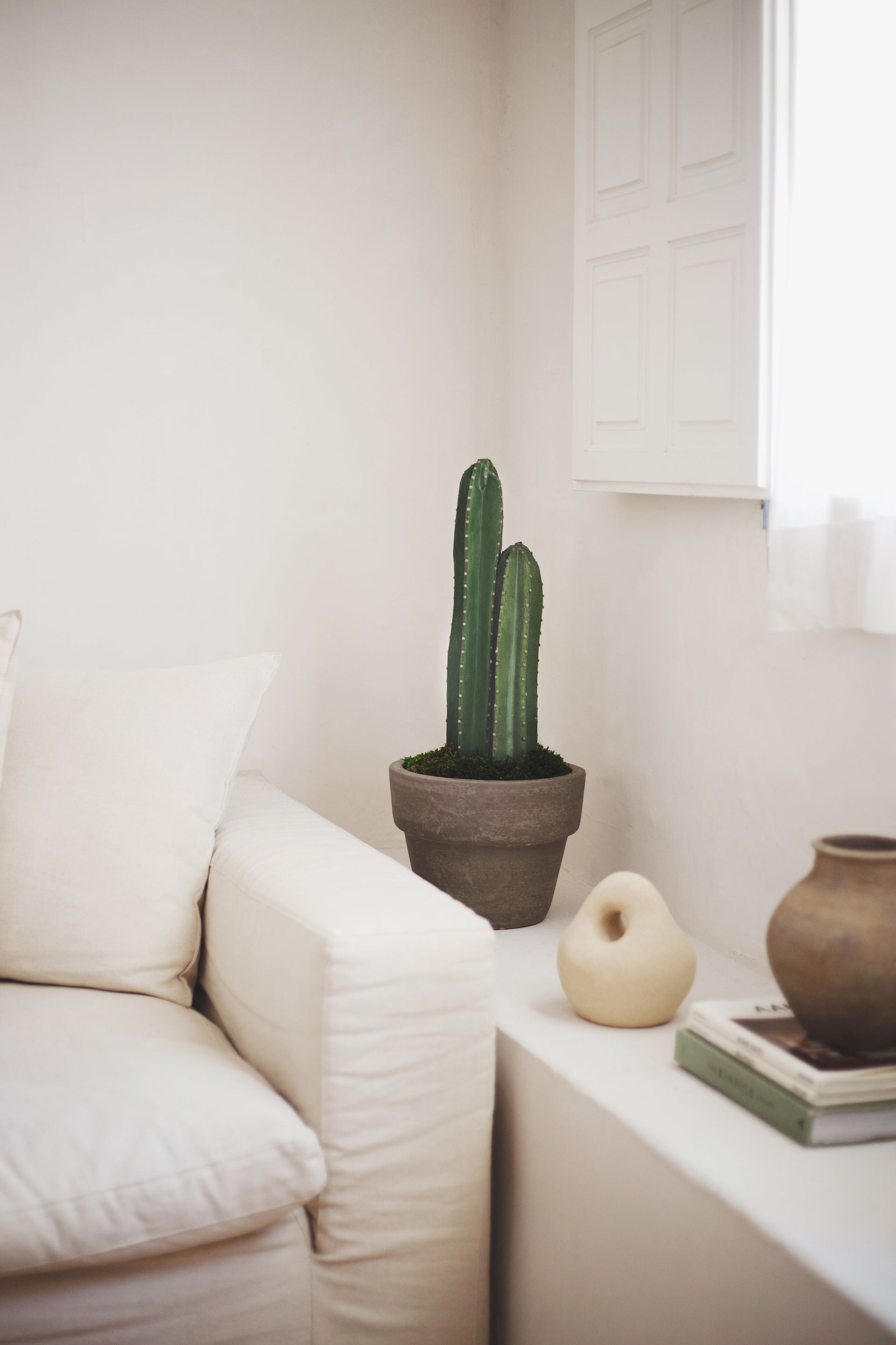 cactus couch 2.5FT Cactus Artificial Plant