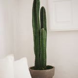 3.5FT Cactus Artificial Plant