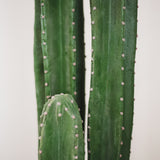 3.5FT Cactus Artificial Plant